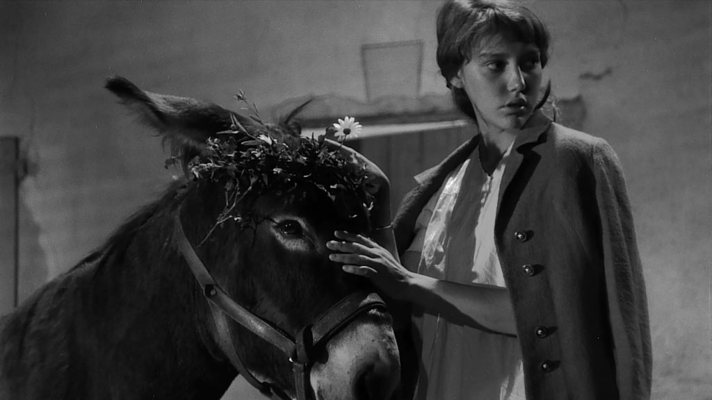 Au hasard Balthazar,Au hasard Balthazar film,Au hasard Balthazar Robert Bresson,Au hasard Balthazar donkey,Robert Bresson film,Robert Bresson donkey story,Au hasard Balthazar review