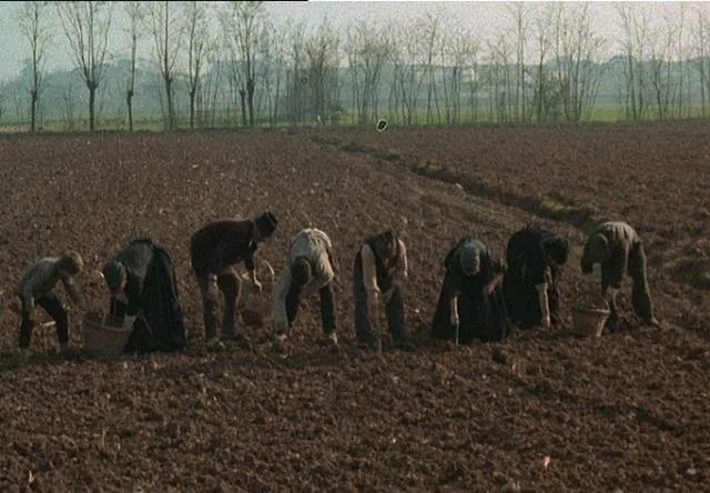 L’albero degli zoccoli review,L'albero degli zoccoli summary,L'albero degli zoccoli film 1978,L'albero degli zoccoli Ermanno Olmi,L’albero degli zoccoli,The Tree of Wooden Clogs review,The Tree of Wooden Clogs summary,The Tree of Wooden Clogs 1978,The Tree of Wooden Clogs Ermanno Olmi,The Tree of Wooden Clogs,Ermanno Olmi film